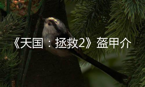 《天國：拯救2》盔甲介紹：板甲防護(hù)性強(qiáng) 弱點(diǎn)也少