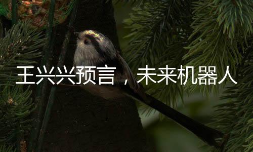 王興興預(yù)言，未來機(jī)器人將縮小至細(xì)胞大小，科技革新引領(lǐng)新時(shí)代