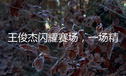 王俊杰閃耀賽場，一場精彩的體育盛宴的三大亮點人物分析之俊杰篇