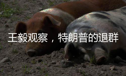 王毅觀察，特朗普的退群行為背后隱現(xiàn)的國(guó)際政治暗涌
