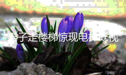 男子走樓梯驚現(xiàn)電梯既視感——體驗(yàn)特殊現(xiàn)象的深度解析