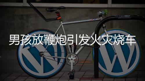 男孩放鞭炮引發(fā)火災燒車，監(jiān)護人被判全責