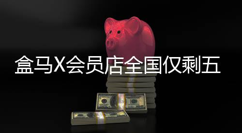 盒馬X會(huì)員店全國(guó)僅剩五家，零售變革下的新局面分析