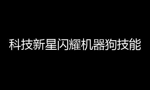 科技新星閃耀機器狗技能值拉滿，展現(xiàn)未來智能無限可能