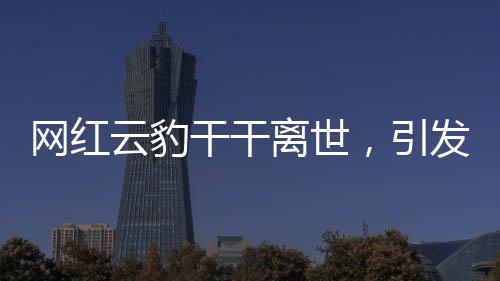 網(wǎng)紅云豹干干離世，引發(fā)網(wǎng)友無盡哀思