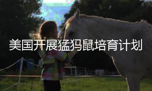 美國(guó)開展猛犸鼠培育計(jì)劃，探尋未來生態(tài)和諧與人類發(fā)展的無限可能