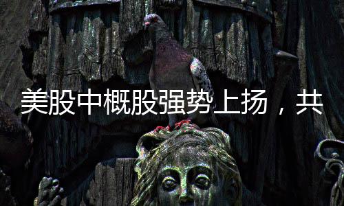 美股中概股強(qiáng)勢上揚(yáng)，共迎新年新氣象