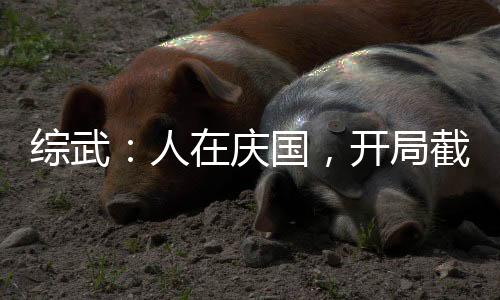 綜武：人在慶國，開局截胡司里里