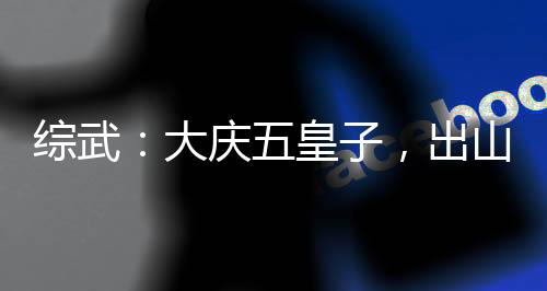 綜武：大慶五皇子，出山即無敵