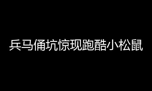 兵馬俑坑驚現(xiàn)跑酷小松鼠，神秘事件揭秘