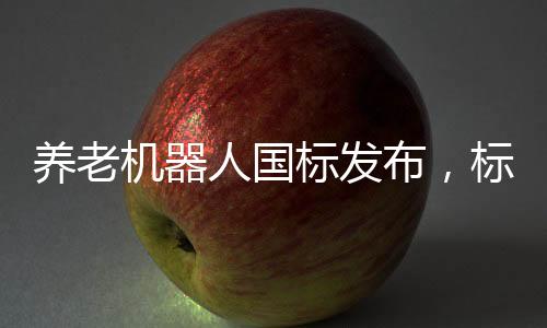 養(yǎng)老機(jī)器人國(guó)標(biāo)發(fā)布，標(biāo)準(zhǔn)化推動(dòng)養(yǎng)老科技新紀(jì)元