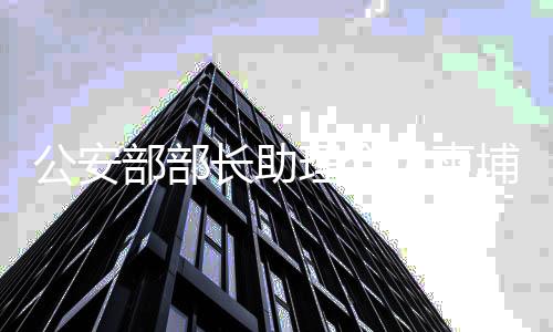 公安部部長助理會見柬埔寨副首相，深化雙邊合作，共謀安全發(fā)展