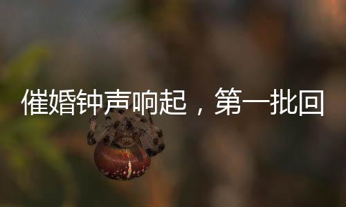催婚鐘聲響起，第一批回家過年的人故事揭曉
