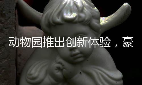 動(dòng)物園推出創(chuàng)新體驗(yàn)，豪華動(dòng)物園套餐，與獅子近距離互動(dòng)——體驗(yàn)價(jià)僅268元！