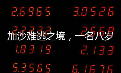 加沙難逃之境，一名八歲女孩的辛酸歷程