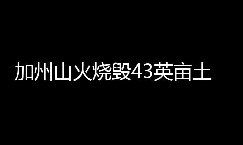 加州山火燒毀43英畝土地 險(xiǎn)危及好萊塢星光大道