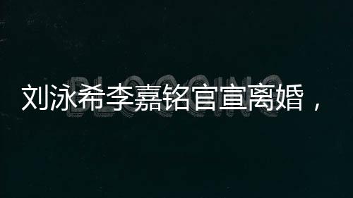 劉泳希李嘉銘官宣離婚，愛(ài)情長(zhǎng)跑的終點(diǎn)