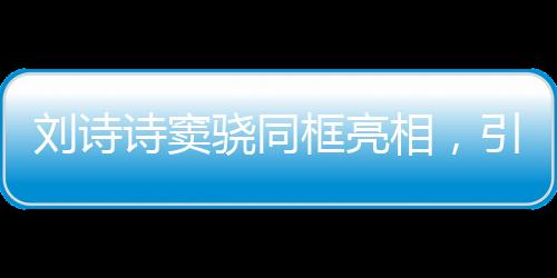 劉詩詩竇驍同框亮相，引發(fā)粉絲熱議