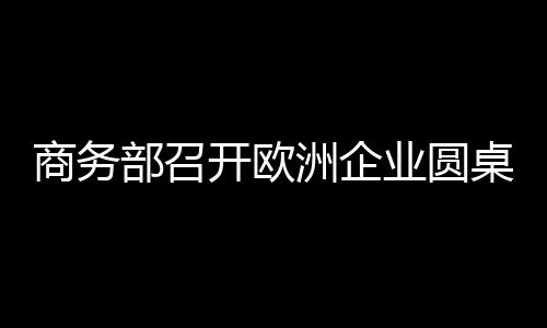 商務部召開歐洲企業(yè)圓桌會