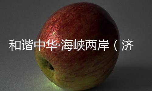 和諧中華·海峽兩岸（濟(jì)南）論語經(jīng)典誦讀展演啟動(dòng)