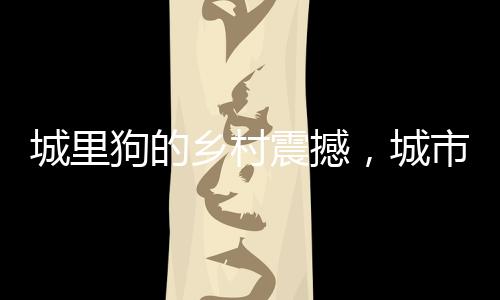 城里狗的鄉(xiāng)村震撼，城市與鄉(xiāng)村間的別樣體驗