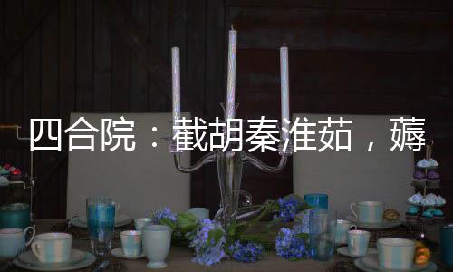 四合院：截胡秦淮茹，薅眾禽毛！