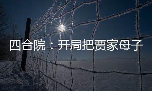 四合院：開局把賈家母子送進(jìn)去