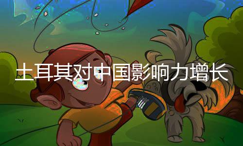 土耳其對中國影響力增長的擔憂探究