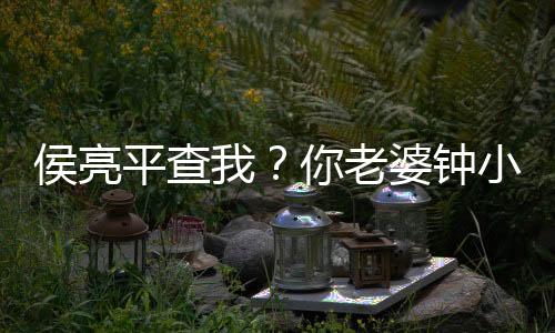 侯亮平查我？你老婆鐘小艾力挺我