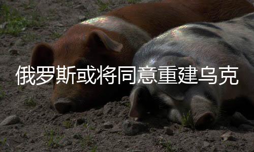 俄羅斯或?qū)⑼庵亟蹩颂m，和平進(jìn)程的嶄新篇章
