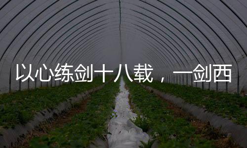 以心練劍十八載，一劍西來(lái)仙人驚