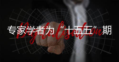 專家學(xué)者為“十五五”期間地方發(fā)展獻(xiàn)策 尋找突破路徑