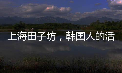 上海田子坊，韓國(guó)人的活化之路？