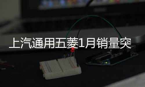 上汽通用五菱1月銷量突破十萬大關(guān)，銷量持續(xù)走高展現(xiàn)強(qiáng)勁市場潛力