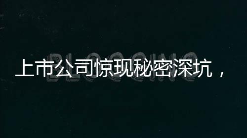 上市公司驚現(xiàn)秘密深坑，揭秘會計資料被埋背后的故事