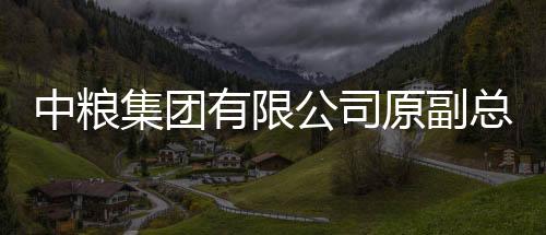 中糧集團有限公司原副總經(jīng)理周政一審獲刑12年