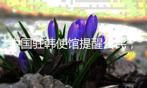 中國駐韓使館提醒公民，謹慎對待政治集會，確保自身安全