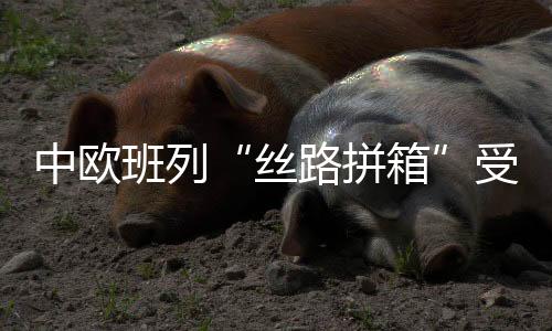 中歐班列“絲路拼箱”受青睞 長沙新春首發(fā)班列啟程