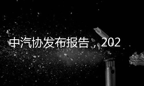 中汽協(xié)發(fā)布報告，2024年12月汽車出口量達50.4萬輛