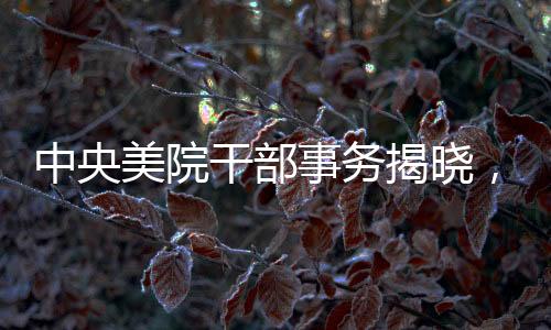 中央美院干部事務(wù)揭曉，兩官被查，一人主動(dòng)投案