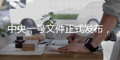 中央一號(hào)文件正式發(fā)布，引領(lǐng)新時(shí)代鄉(xiāng)村振興之路