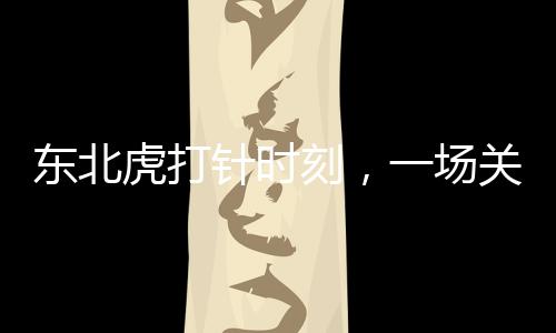 東北虎打針時刻，一場關乎生命與敬畏的溫柔護理