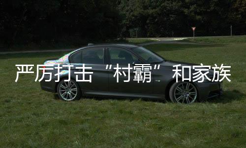 嚴厲打擊“村霸”和家族宗族黑惡勢力！最高法發(fā)布5件典型案例