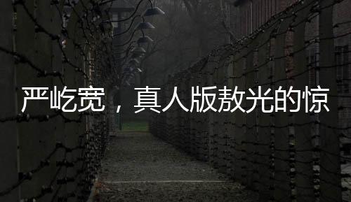 嚴(yán)屹寬，真人版敖光的驚艷呈現(xiàn)