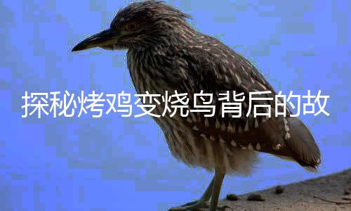 探秘烤雞變燒鳥背后的故事，價(jià)格何以飆升十倍？