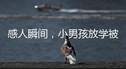感人瞬間，小男孩放學(xué)被爸爸擁抱后的真情流露