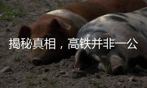 揭秘真相，高鐵并非一公里耗一萬度電，破除誤導傳言！