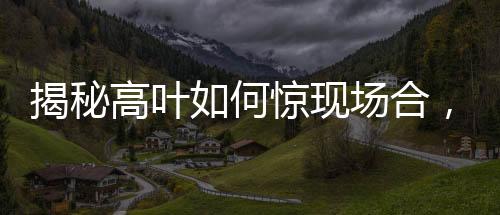 揭秘高葉如何驚現(xiàn)場(chǎng)合，一支鋼筆的時(shí)尚魅力