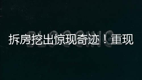 拆房挖出驚現(xiàn)奇跡！重現(xiàn)罕見40斤重娃娃魚寶寶重磅報道