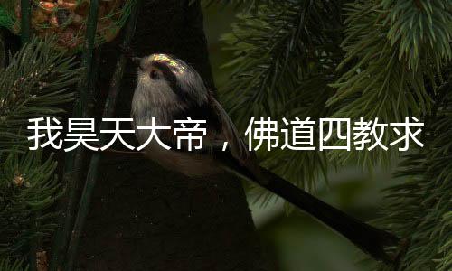 我昊天大帝，佛道四教求著我封神